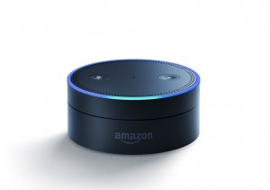 Amazon Echo alternative - Amazon Echo Dot